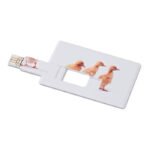 Kreditinė kortelė. USB atmintinė 32 GB.