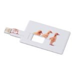 Kreditinė kortelė. 4 GB USB atmintinė.
